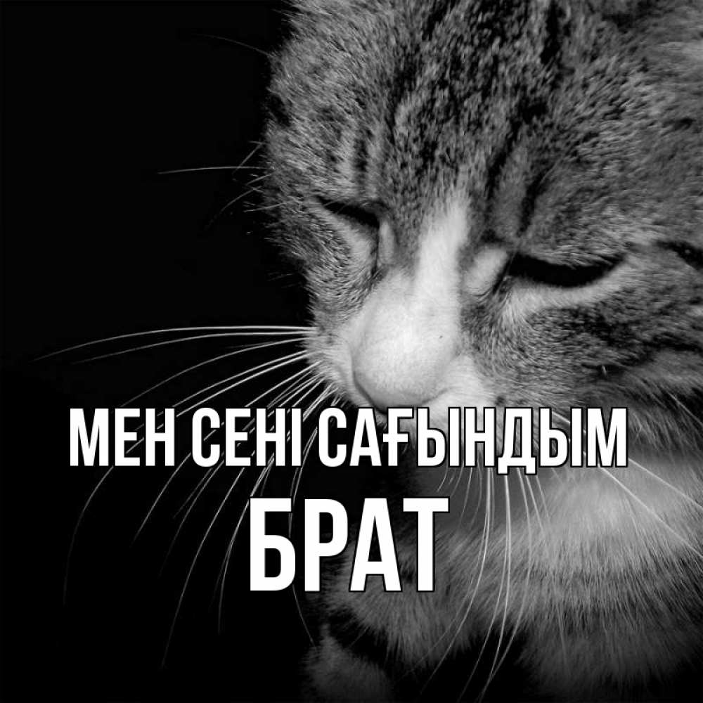 Күн сайын ашық хат с именем, Брат Мен сені сағындым мне скучно Онлайн тегін жүктеп алу тілектері бар керемет карта 