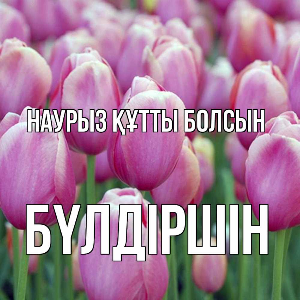 Күн сайын ашық хат с именем, БҮЛДІРШІН Наурыз құтты болсын на наурыз  день 3 Онлайн тегін жүктеп алу тілектері бар керемет карта 