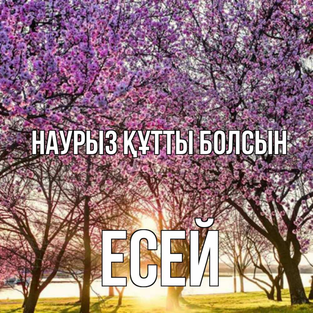Күн сайын ашық хат с именем, Есей Наурыз құтты болсын наурыз Онлайн тегін жүктеп алу тілектері бар керемет карта 