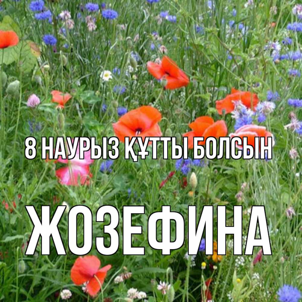 Күн сайын ашық хат с именем, Жозефина 8 наурыз құтты болсын международный женский день 4 Онлайн тегін жүктеп алу тілектері бар керемет карта 