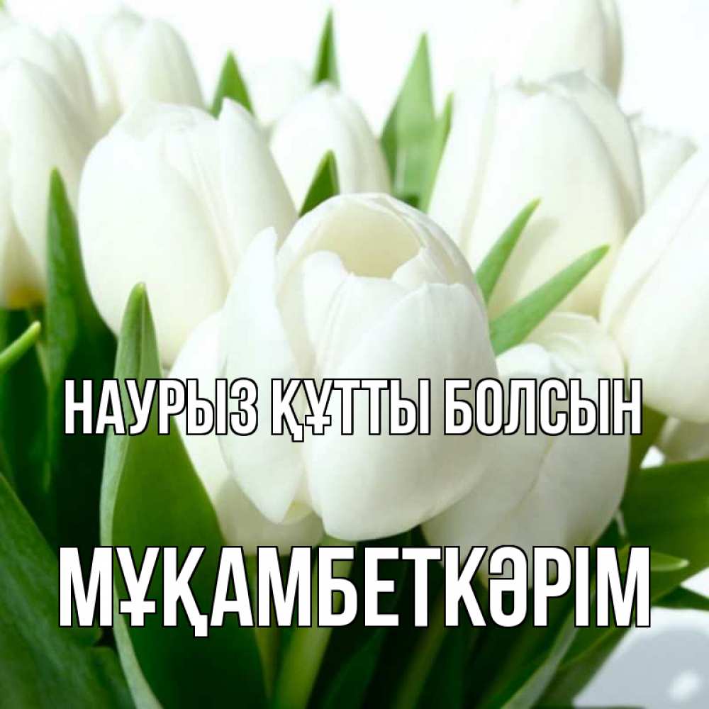 Күн сайын ашық хат с именем, Мұқамбеткәрім Наурыз құтты болсын цветы Онлайн тегін жүктеп алу тілектері бар керемет карта 