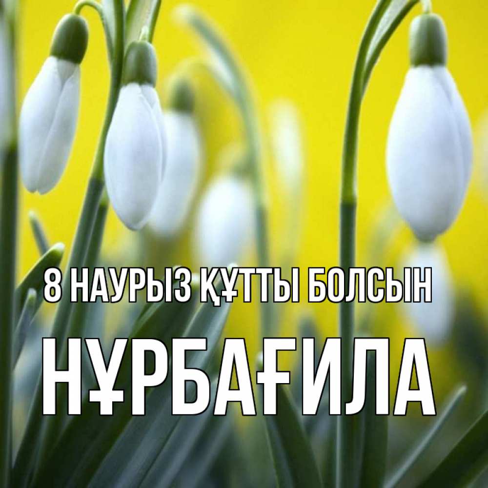 Күн сайын ашық хат с именем, НҰРБАҒИЛА 8 наурыз құтты болсын весенние цветы Онлайн тегін жүктеп алу тілектері бар керемет карта 