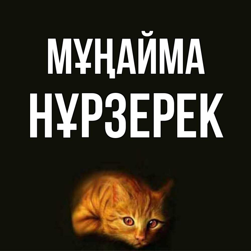 Күн сайын ашық хат с именем, НҰРЗЕРЕК Мұңайма лежащий кот в темноте Онлайн тегін жүктеп алу тілектері бар керемет карта 