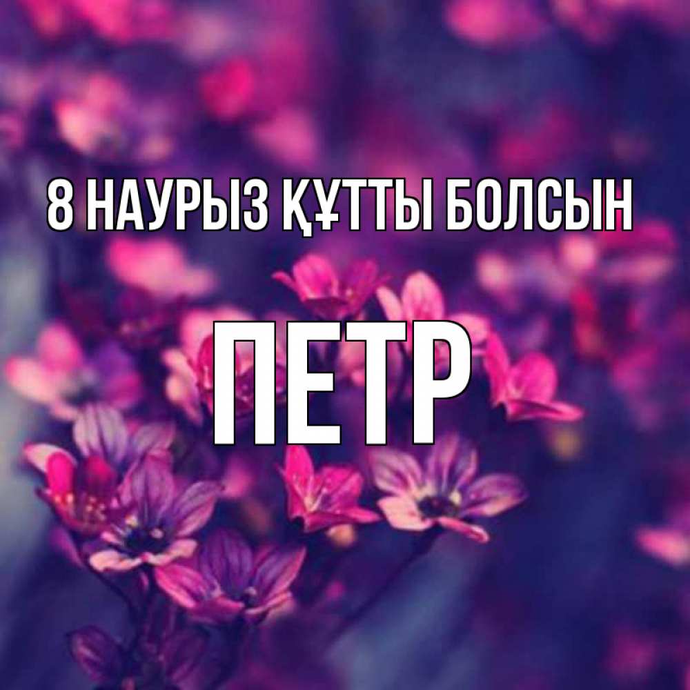 Күн сайын ашық хат с именем, Петр 8 наурыз құтты болсын небольшие цветы 1 Онлайн тегін жүктеп алу тілектері бар керемет карта 