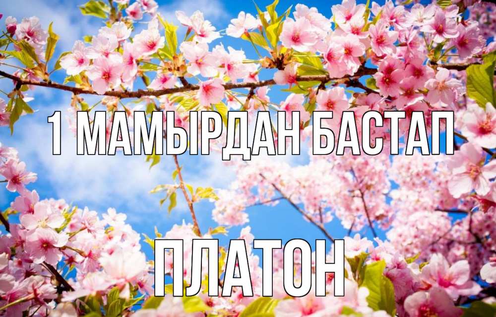 Күн сайын ашық хат с именем, Платон 1 мамырдан бастап С 1 мая Онлайн тегін жүктеп алу тілектері бар керемет карта 