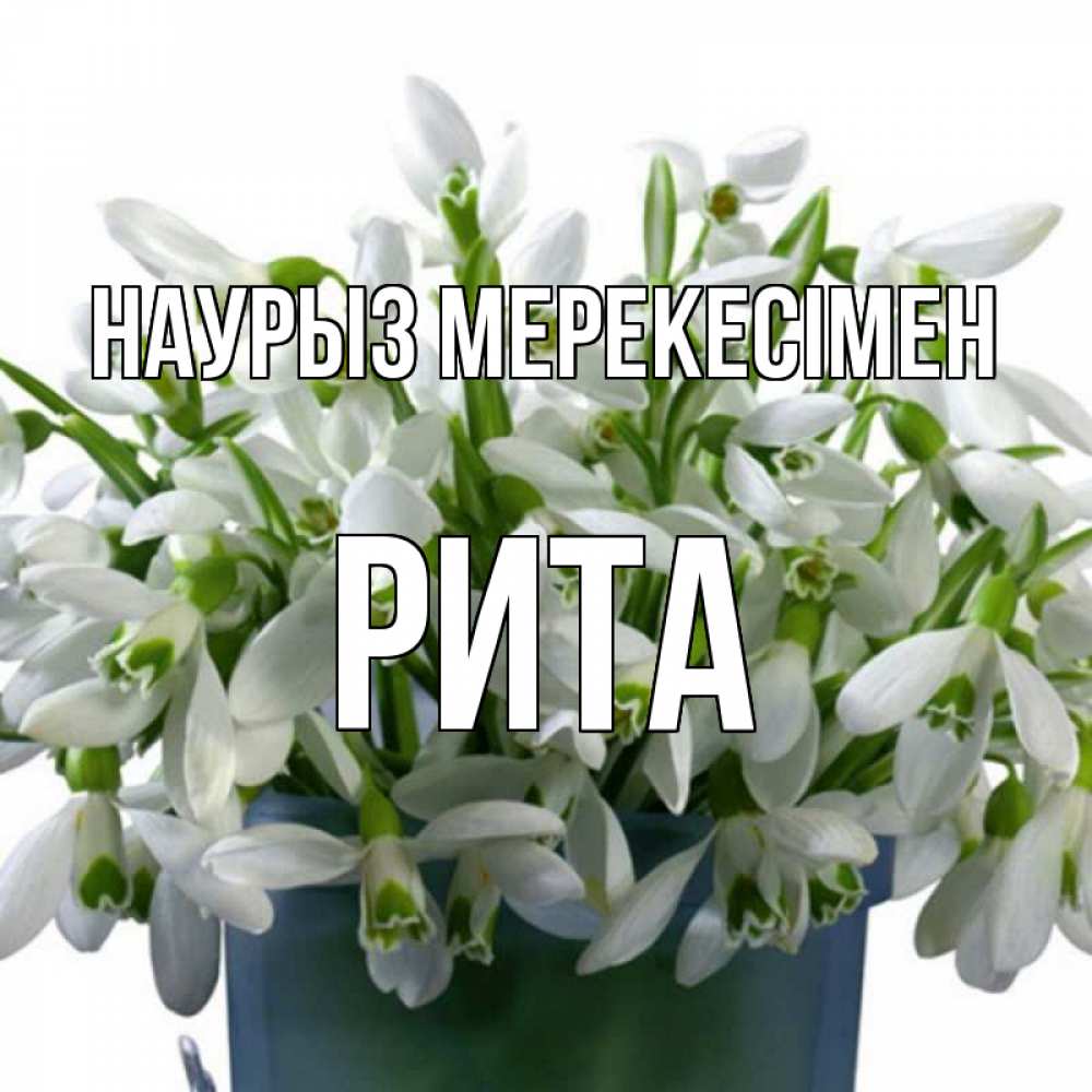 Күн сайын ашық хат с именем, Рита Наурыз мерекесімен цветы к наурызу новый год в Казахстане Онлайн тегін жүктеп алу тілектері бар керемет карта 