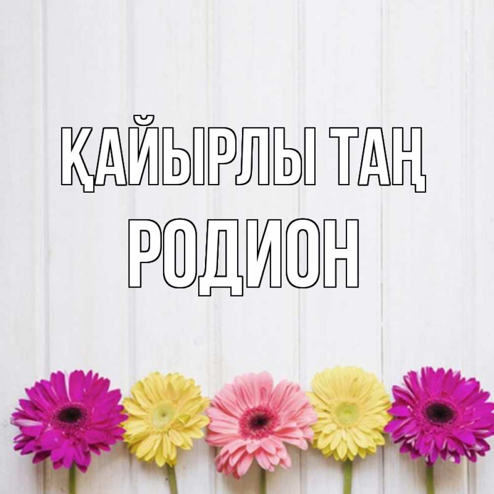 Күн сайын ашық хат с именем, Родион Қайырлы таң красный желтый и розовый цветок Онлайн тегін жүктеп алу тілектері бар керемет карта 