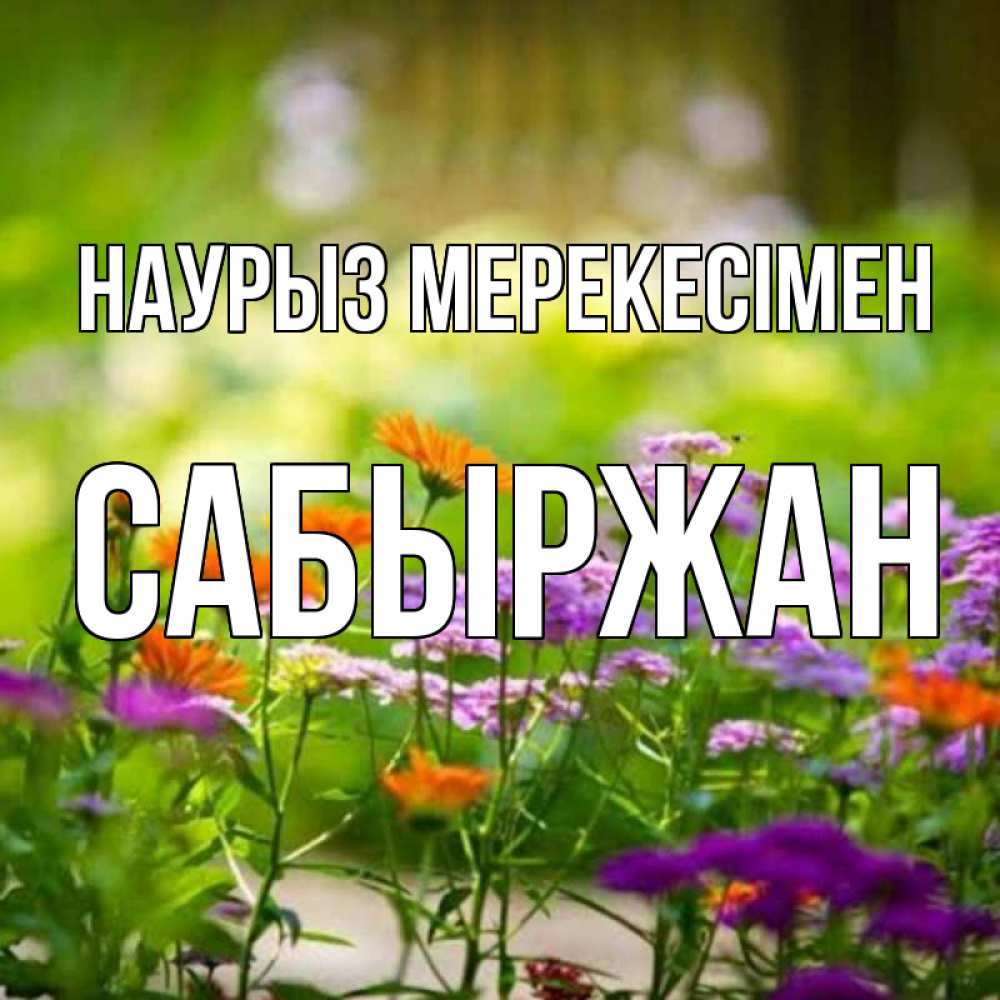 Күн сайын ашық хат с именем, САБЫРЖАН Наурыз мерекесімен цветы Онлайн тегін жүктеп алу тілектері бар керемет карта 