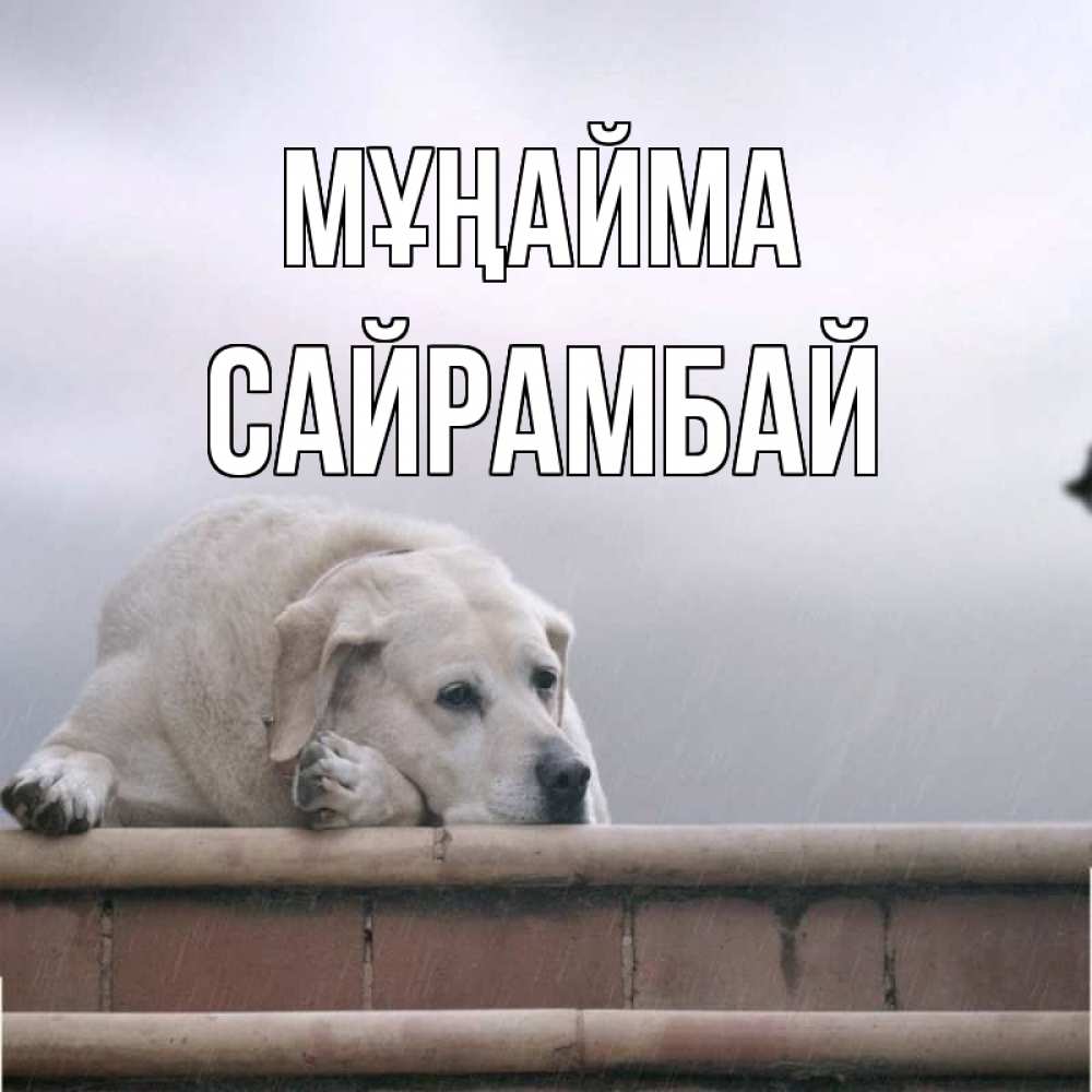 Күн сайын ашық хат с именем, САЙРАМБАЙ Мұңайма белый пес 1 Онлайн тегін жүктеп алу тілектері бар керемет карта 