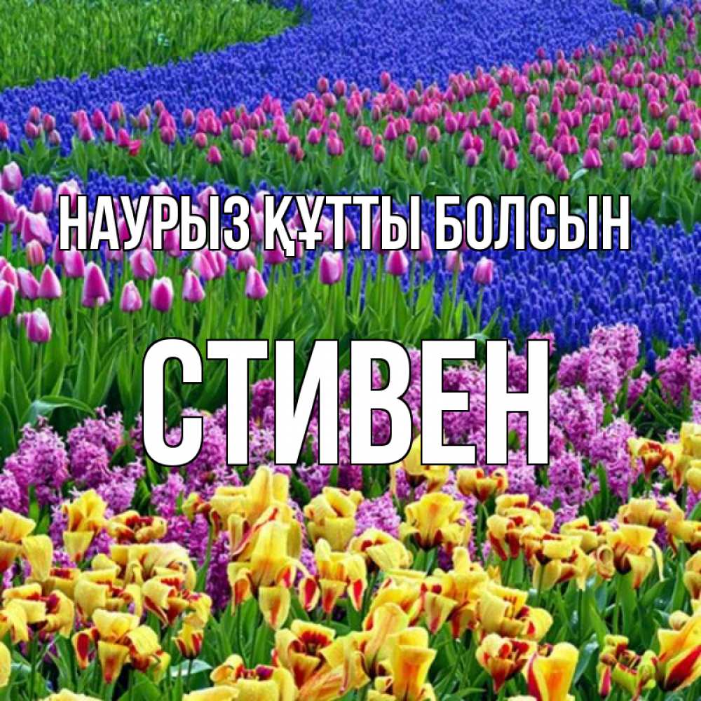 Күн сайын ашық хат с именем, Стивен Наурыз құтты болсын цветы Онлайн тегін жүктеп алу тілектері бар керемет карта 