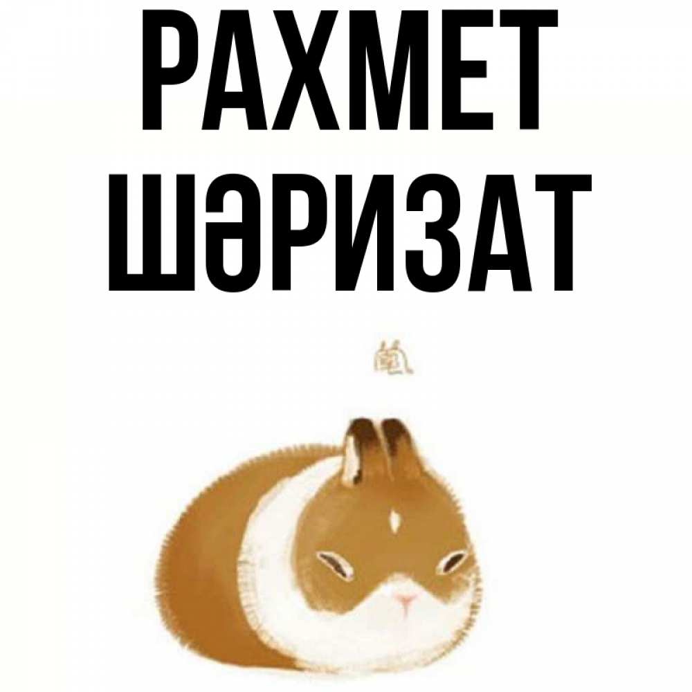 Күн сайын ашық хат с именем, ШӘРИЗАТ рахмет коричнево белый домашний питомец Онлайн тегін жүктеп алу тілектері бар керемет карта 