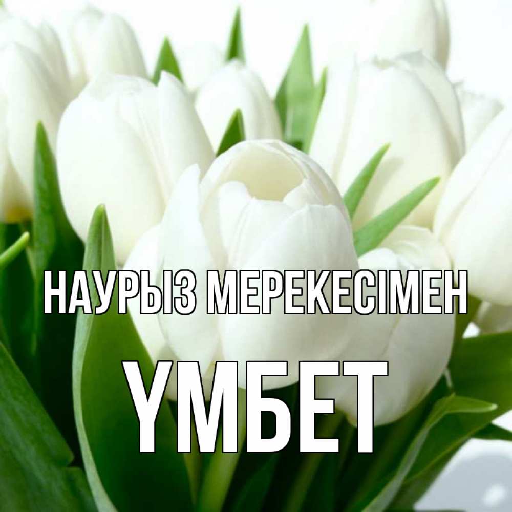 Күн сайын ашық хат с именем, ҮМБЕТ Наурыз мерекесімен цветы Онлайн тегін жүктеп алу тілектері бар керемет карта 