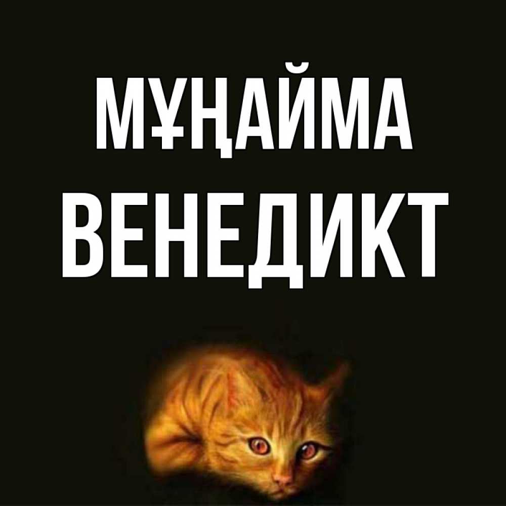 Күн сайын ашық хат с именем, Венедикт Мұңайма лежащий кот в темноте Онлайн тегін жүктеп алу тілектері бар керемет карта 