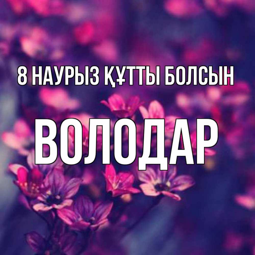 Күн сайын ашық хат с именем, Володар 8 наурыз құтты болсын небольшие цветы 1 Онлайн тегін жүктеп алу тілектері бар керемет карта 