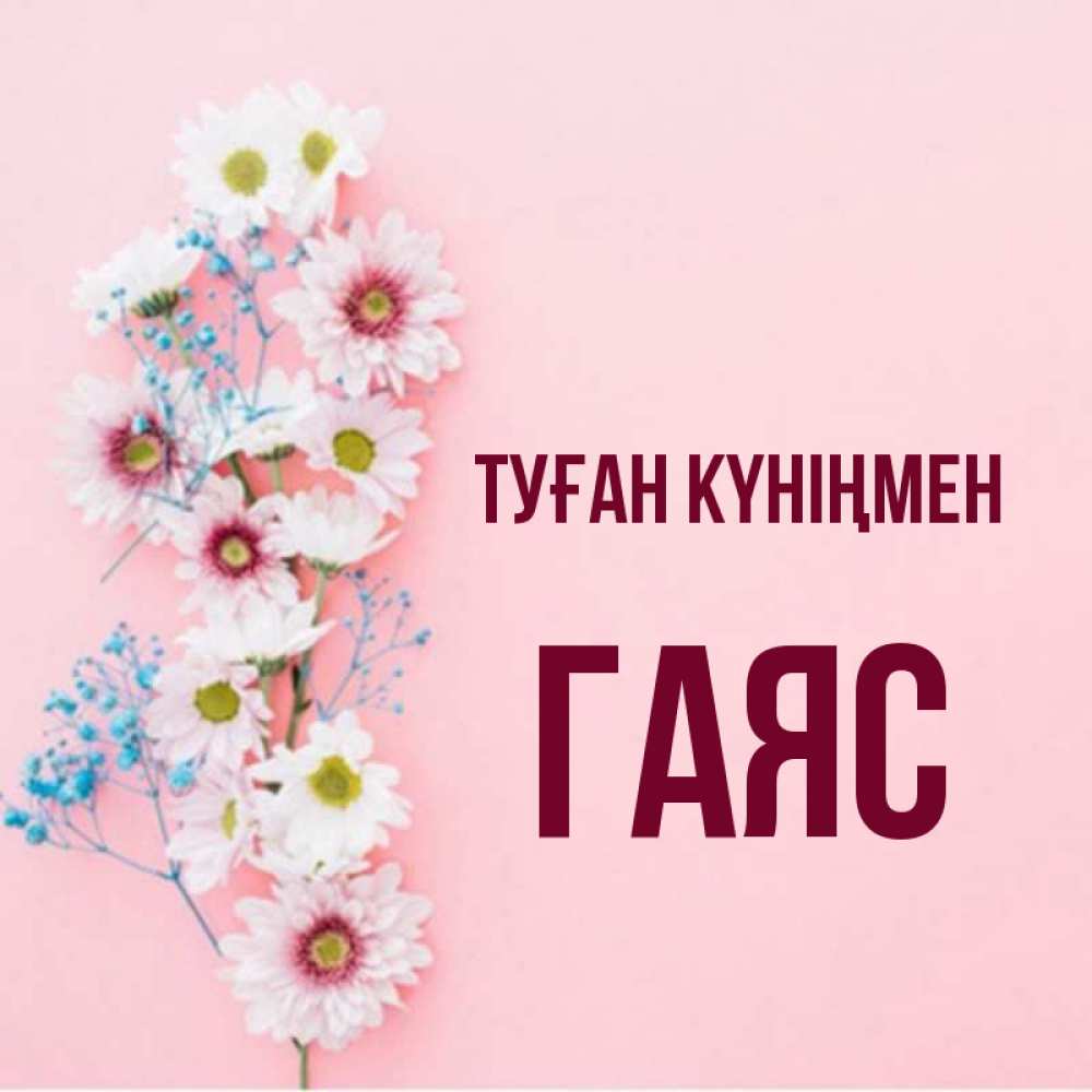 Күн сайын ашық хат с именем, Гаяс Туған күніңмен Родная моя с днем рождения тебя картинка с цветами белыми и голубыми Онлайн тегін жүктеп алу тілектері бар керемет карта 