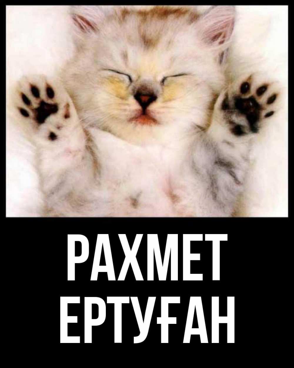 Күн сайын ашық хат с именем, Ертуған рахмет маленький котенок Онлайн тегін жүктеп алу тілектері бар керемет карта 