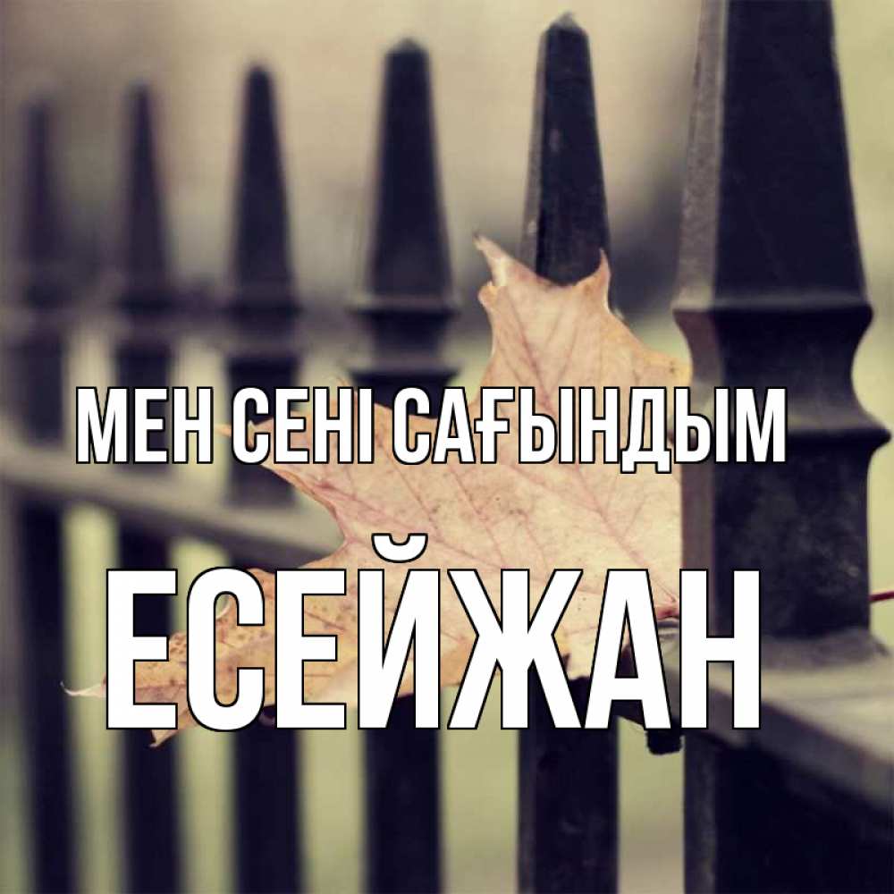 Күн сайын ашық хат с именем, Есейжан Мен сені сағындым очень скучно Онлайн тегін жүктеп алу тілектері бар керемет карта 