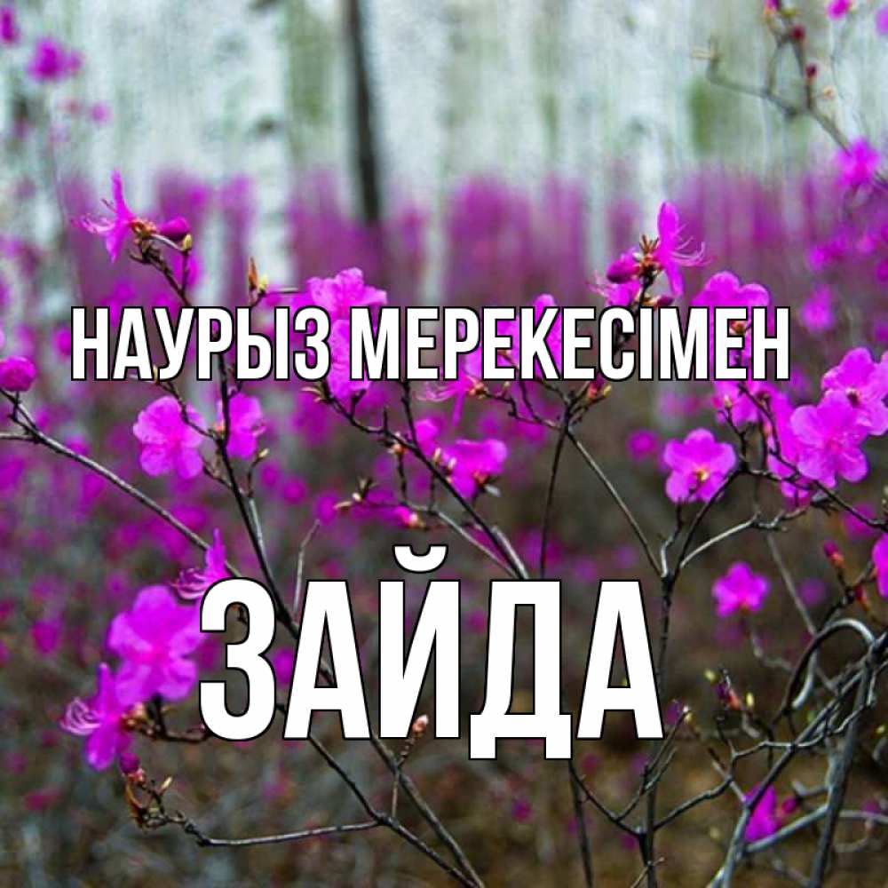 Күн сайын ашық хат с именем, ЗАЙДА Наурыз мерекесімен дикие цветы Онлайн тегін жүктеп алу тілектері бар керемет карта 