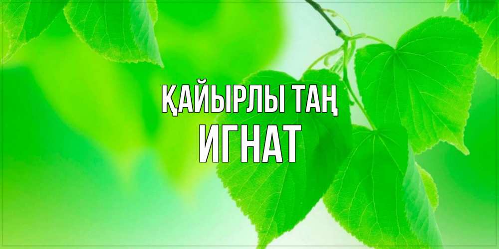 Күн сайын ашық хат с именем, Игнат Қайырлы таң доброе утро с березовыми листьями Онлайн тегін жүктеп алу тілектері бар керемет карта 