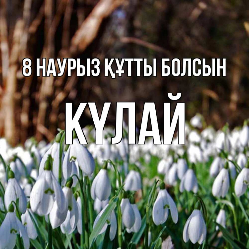 Күн сайын ашық хат с именем, КҮЛАЙ 8 наурыз құтты болсын с подснежниками 1 Онлайн тегін жүктеп алу тілектері бар керемет карта 