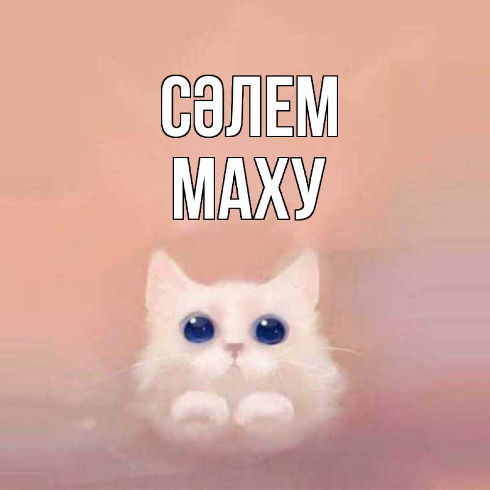 Күн сайын ашық хат с именем, МАХУ Сәлем котик белый в полете Онлайн тегін жүктеп алу тілектері бар керемет карта 