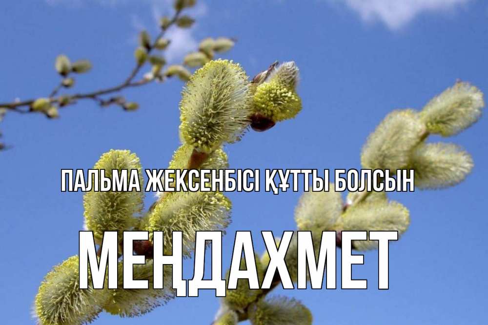 Күн сайын ашық хат с именем, МЕҢДАХМЕТ Пальма жексенбісі құтты болсын верба Онлайн тегін жүктеп алу тілектері бар керемет карта 