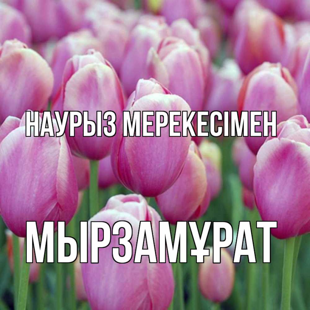 Күн сайын ашық хат с именем, Мырзамұрат Наурыз мерекесімен праздник весны наурыз 69 Онлайн тегін жүктеп алу тілектері бар керемет карта 