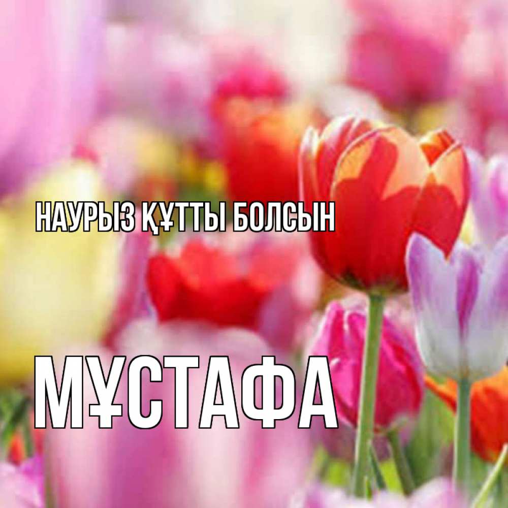 Күн сайын ашық хат с именем, МҰСТАФА Наурыз құтты болсын на наурыз  2 Онлайн тегін жүктеп алу тілектері бар керемет карта 