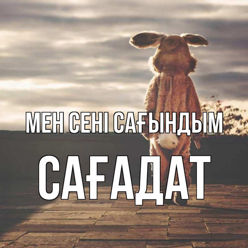 Күн сайын ашық хат с именем, САҒАДАТ Мен сені сағындым даже в костюме зайца Онлайн тегін жүктеп алу тілектері бар керемет карта 
