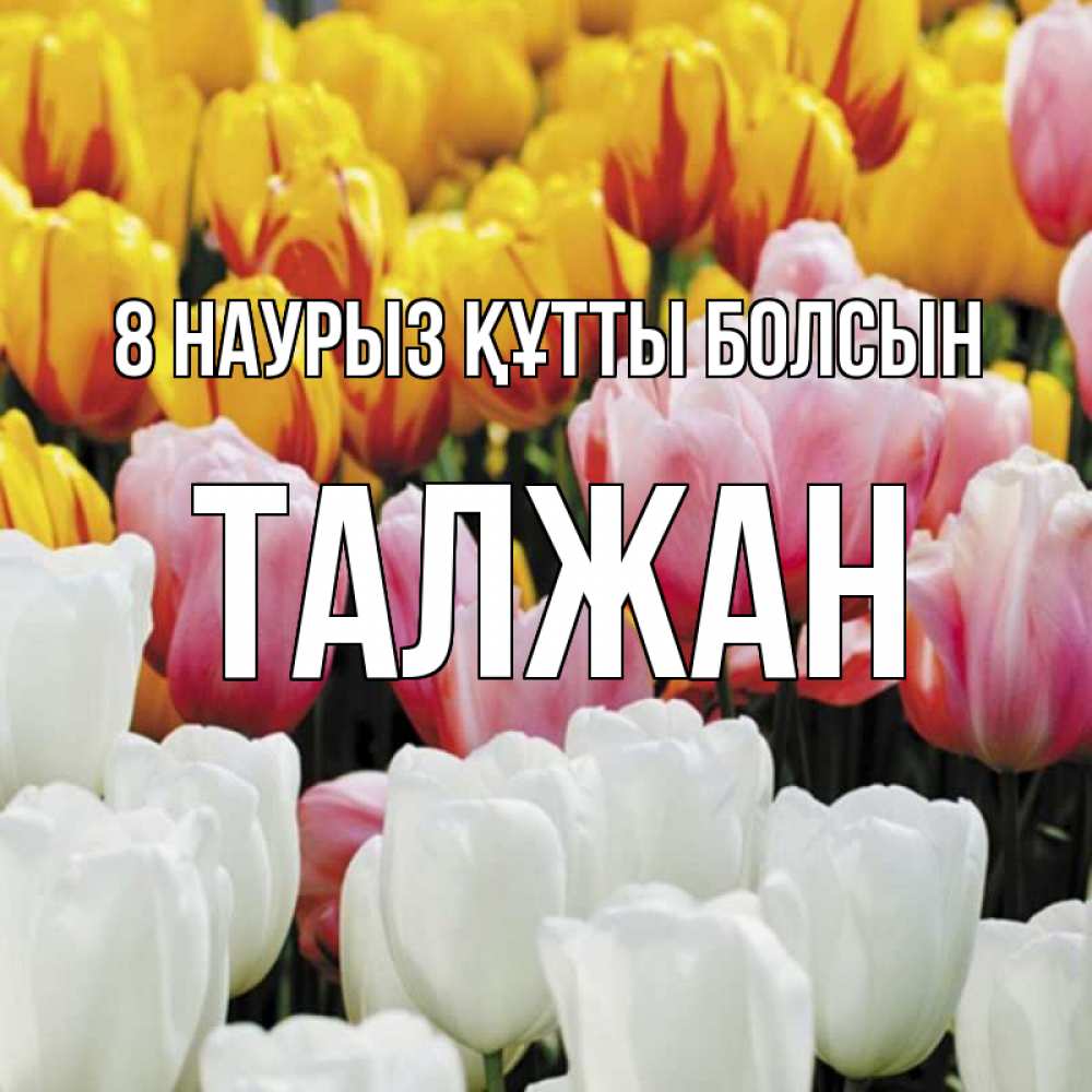 Күн сайын ашық хат с именем, ТАЛЖАН 8 наурыз құтты болсын разноцветные цветы Онлайн тегін жүктеп алу тілектері бар керемет карта 
