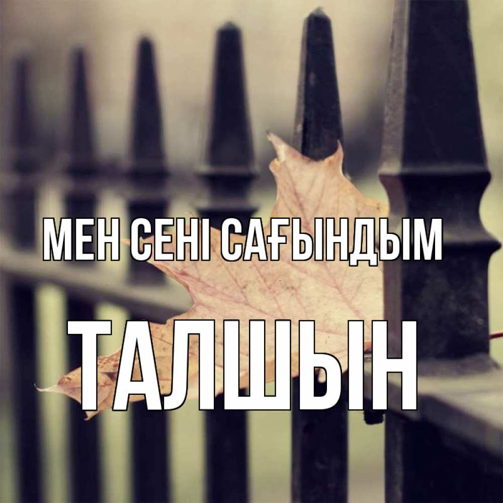 Күн сайын ашық хат с именем, ТАЛШЫН Мен сені сағындым очень скучно Онлайн тегін жүктеп алу тілектері бар керемет карта 