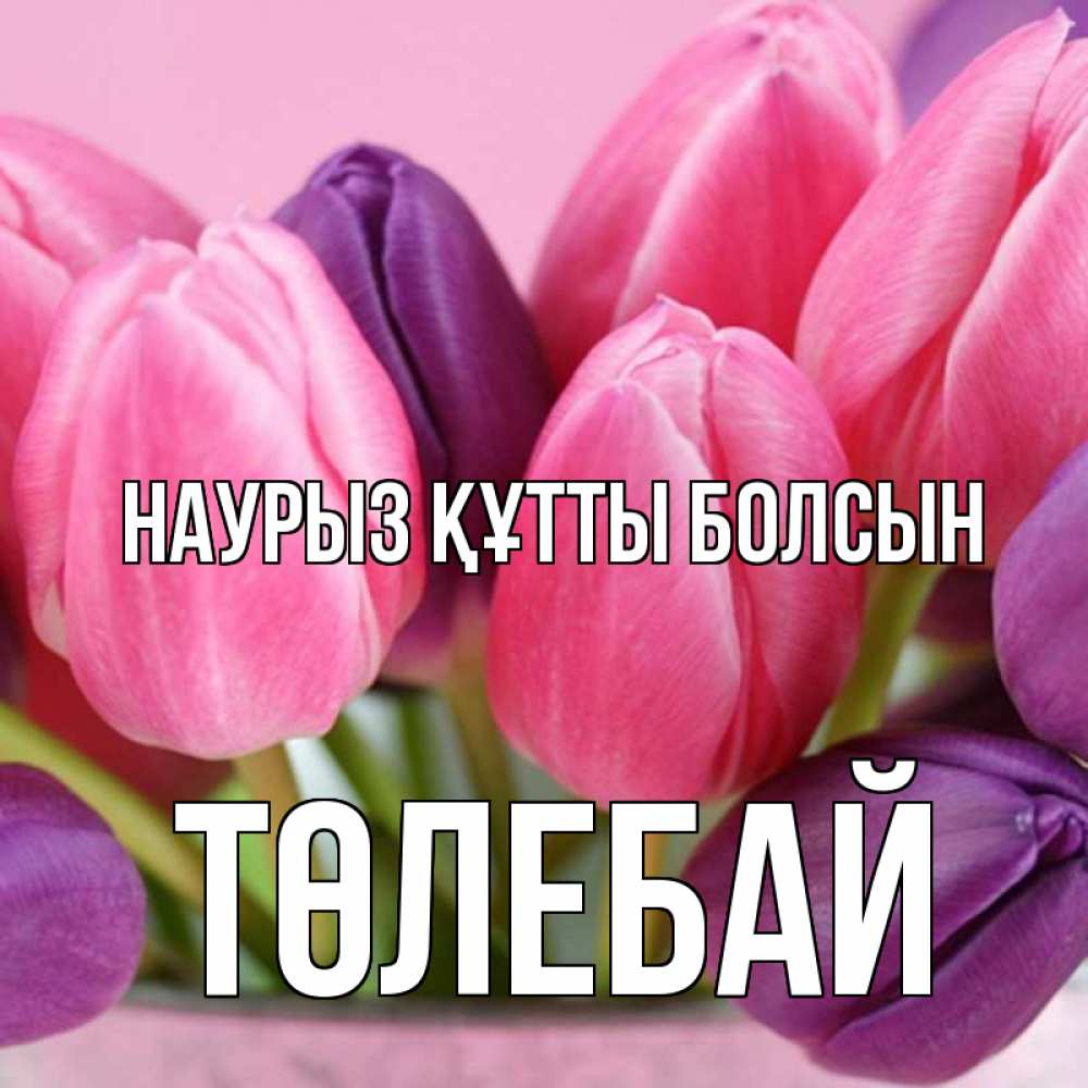 Күн сайын ашық хат с именем, ТӨЛЕБАЙ Наурыз құтты болсын маме 1 Онлайн тегін жүктеп алу тілектері бар керемет карта 