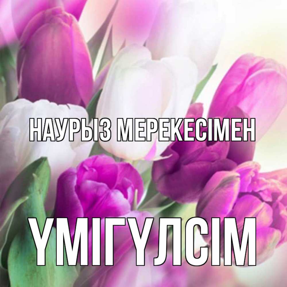 Күн сайын ашық хат с именем, ҮМІГҮЛСІМ Наурыз мерекесімен весна 1 Онлайн тегін жүктеп алу тілектері бар керемет карта 