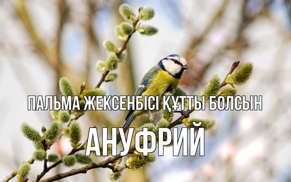 Күн сайын ашық хат с именем, Ануфрий Пальма жексенбісі құтты болсын верба Онлайн тегін жүктеп алу тілектері бар керемет карта 