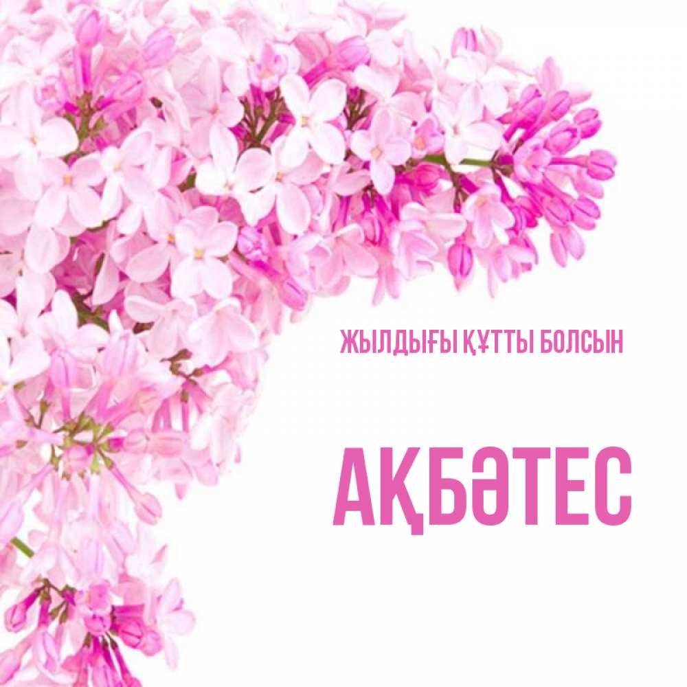 Күн сайын ашық хат с именем, АҚБӘТЕС Жылдығы құтты болсын Сирень на белом фоне Онлайн тегін жүктеп алу тілектері бар керемет карта 
