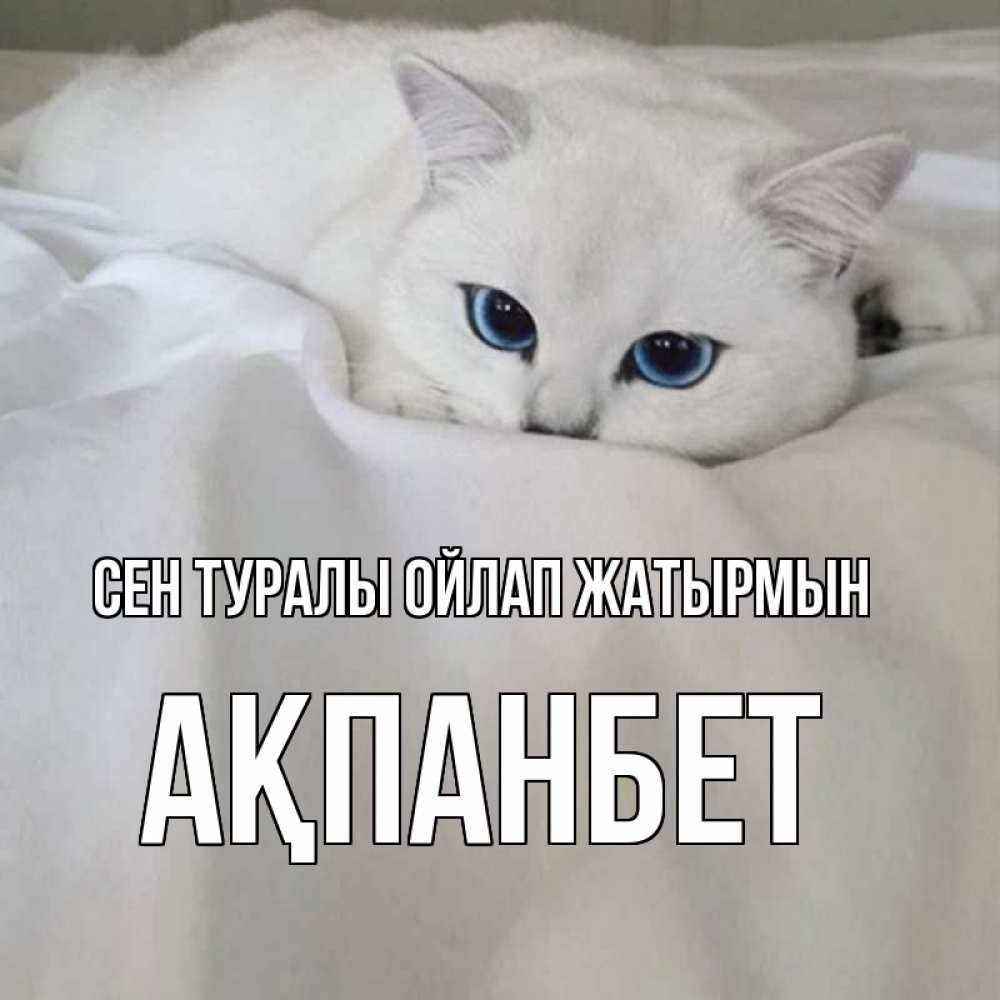Күн сайын ашық хат с именем, Ақпанбет Сен туралы ойлап жатырмын я очень по тебе скучаю и тоскую Онлайн тегін жүктеп алу тілектері бар керемет карта 