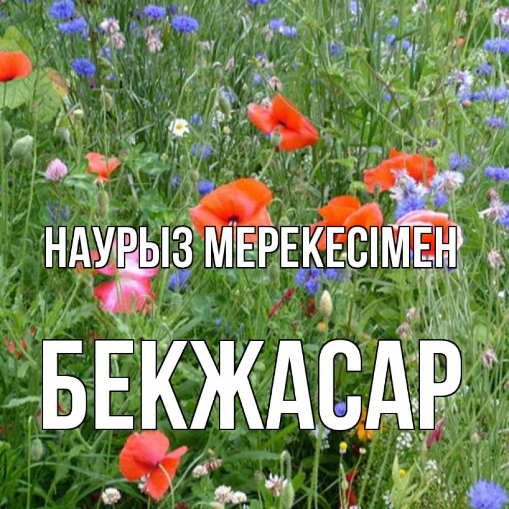 Күн сайын ашық хат с именем, Бекжасар Наурыз мерекесімен праздник весны наурыз супер открытка Онлайн тегін жүктеп алу тілектері бар керемет карта 