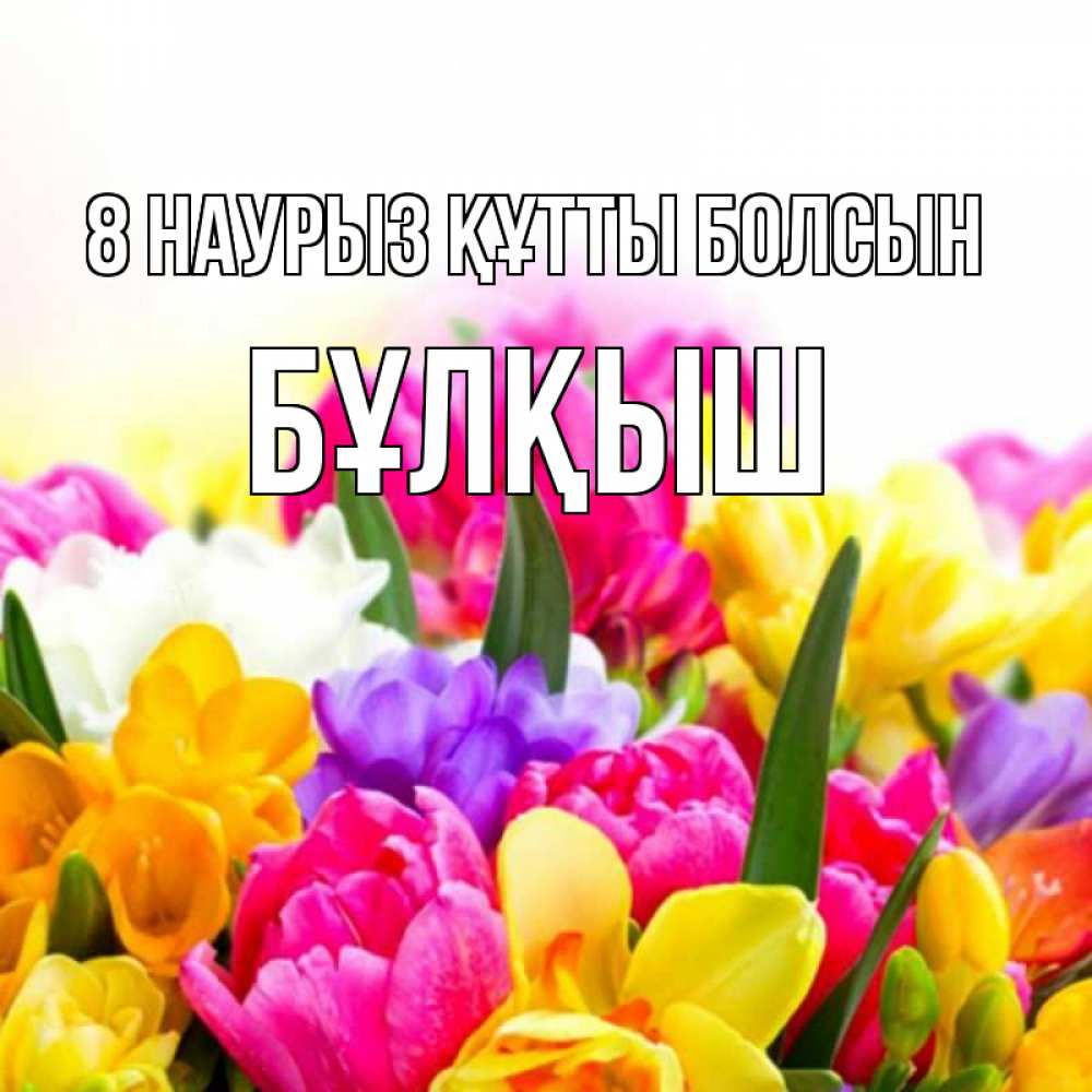 Күн сайын ашық хат с именем, Бұлқыш 8 наурыз құтты болсын тюльпаны Онлайн тегін жүктеп алу тілектері бар керемет карта 