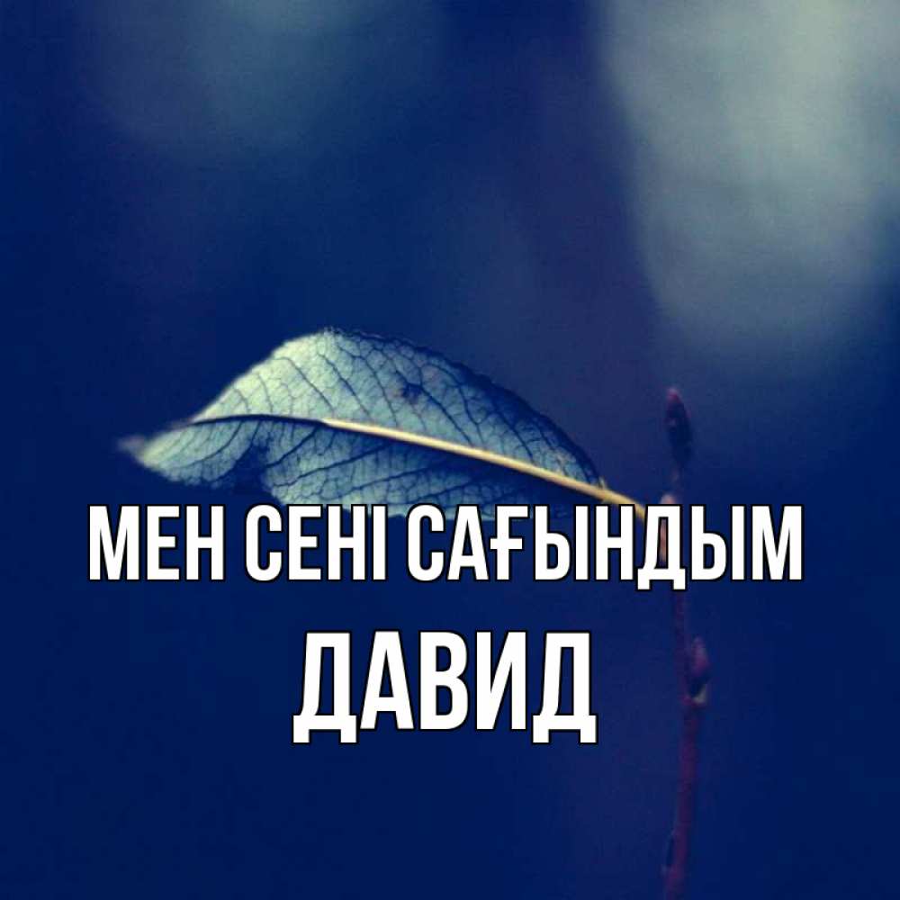 Күн сайын ашық хат с именем, Давид Мен сені сағындым одна ветка 1 Онлайн тегін жүктеп алу тілектері бар керемет карта 