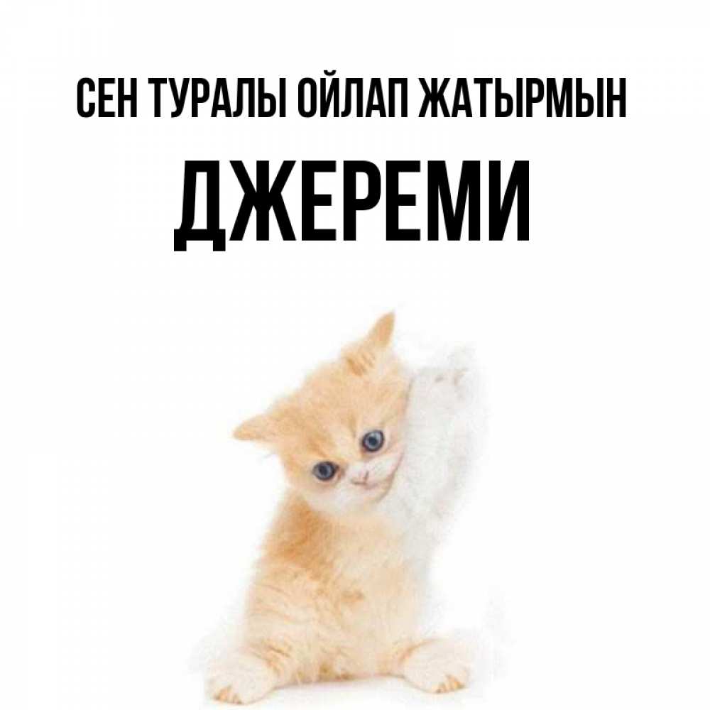Күн сайын ашық хат с именем, Джереми Сен туралы ойлап жатырмын зверушки и милота Онлайн тегін жүктеп алу тілектері бар керемет карта 