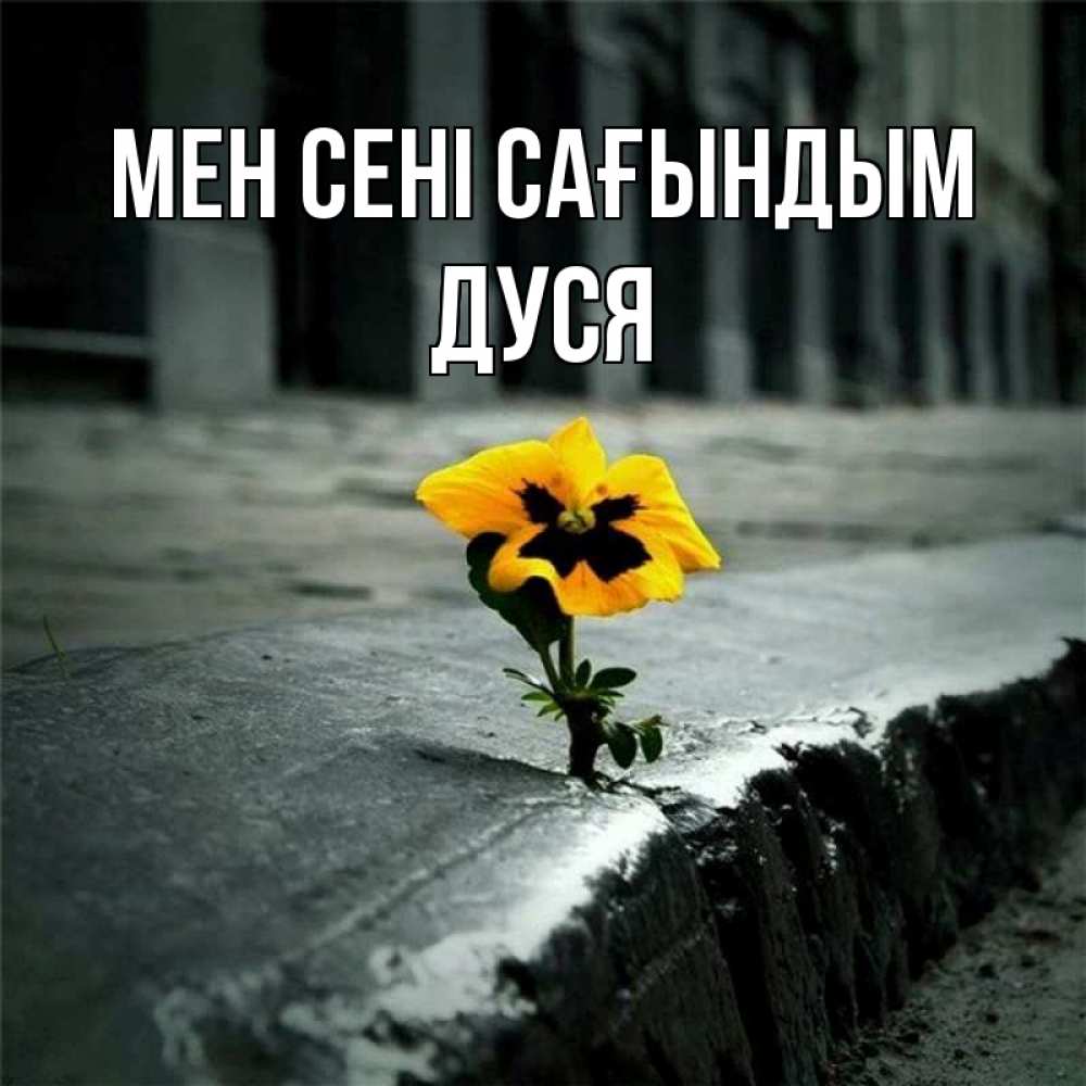 Күн сайын ашық хат с именем, Дуся Мен сені сағындым надеюсь будет лучше Онлайн тегін жүктеп алу тілектері бар керемет карта 