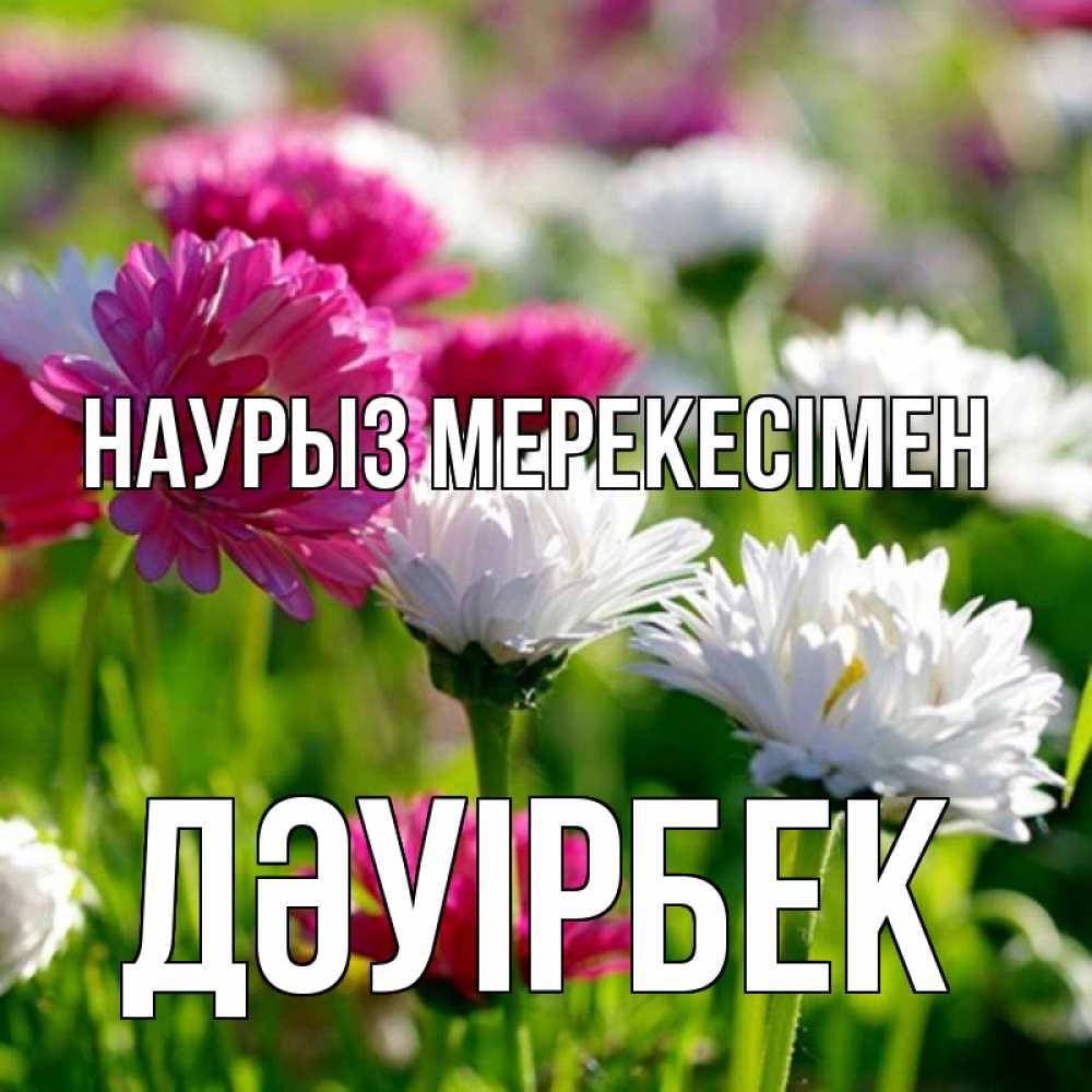 Күн сайын ашық хат с именем, Дәуірбек Наурыз мерекесімен праздник весны наурыз красота Онлайн тегін жүктеп алу тілектері бар керемет карта 