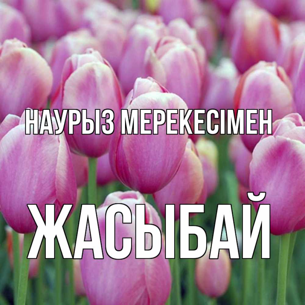 Күн сайын ашық хат с именем, Жасыбай Наурыз мерекесімен праздник весны наурыз 69 Онлайн тегін жүктеп алу тілектері бар керемет карта 