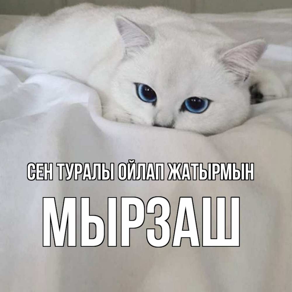 Күн сайын ашық хат с именем, Мырзаш Сен туралы ойлап жатырмын я очень по тебе скучаю и тоскую Онлайн тегін жүктеп алу тілектері бар керемет карта 