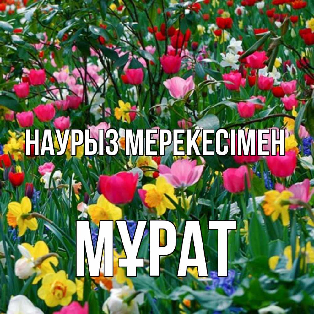 Күн сайын ашық хат с именем, МҰРАТ Наурыз мерекесімен с наурызом праздником весны поздравления для женщины Онлайн тегін жүктеп алу тілектері бар керемет карта 