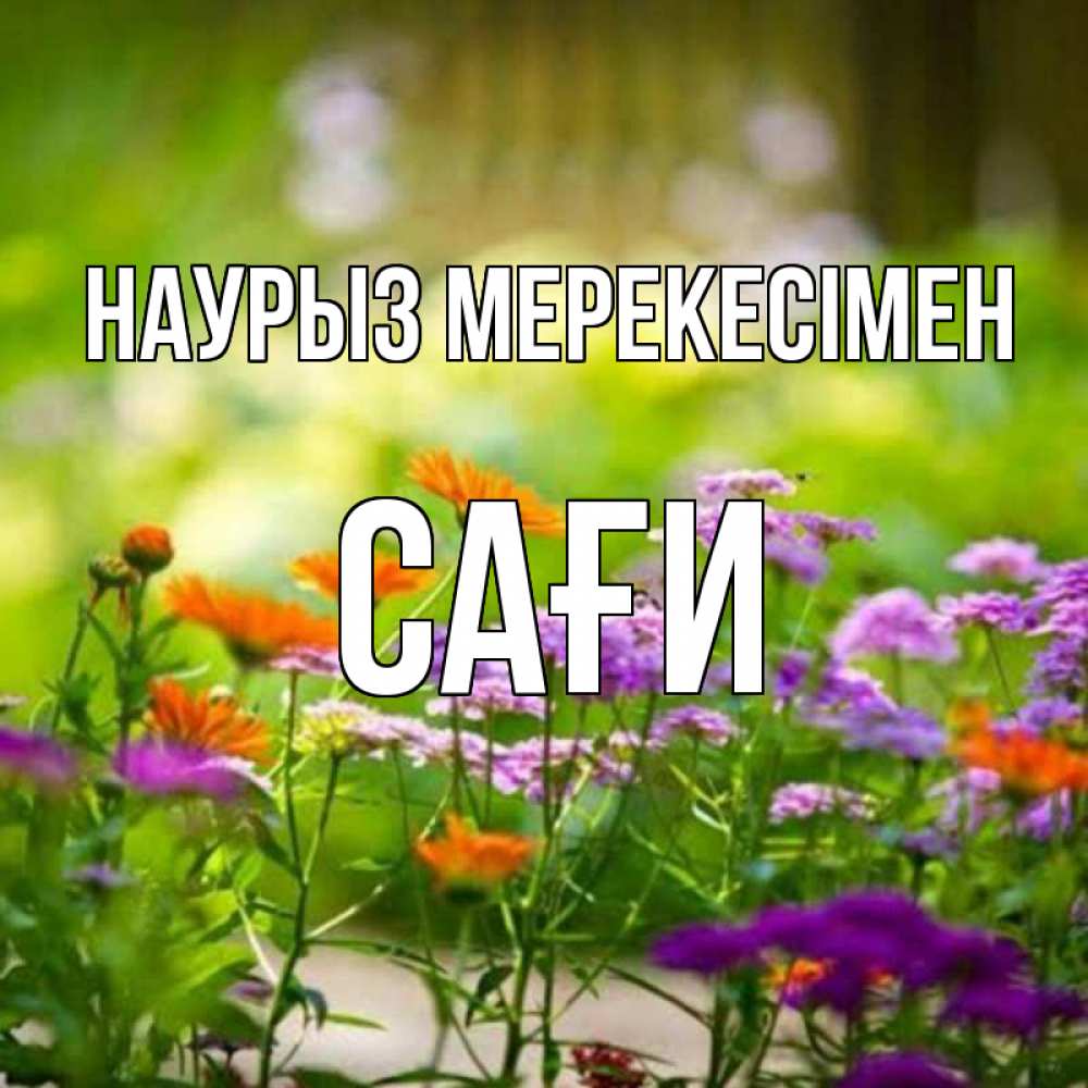 Күн сайын ашық хат с именем, САҒИ Наурыз мерекесімен цветы Онлайн тегін жүктеп алу тілектері бар керемет карта 
