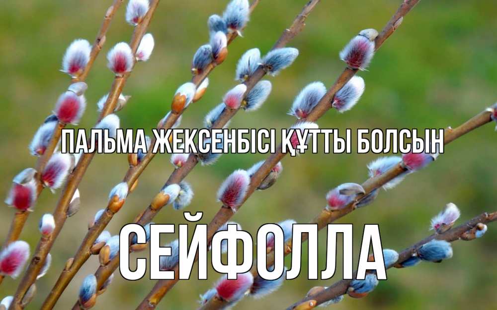 Күн сайын ашық хат с именем, СЕЙФОЛЛА Пальма жексенбісі құтты болсын верба Онлайн тегін жүктеп алу тілектері бар керемет карта 