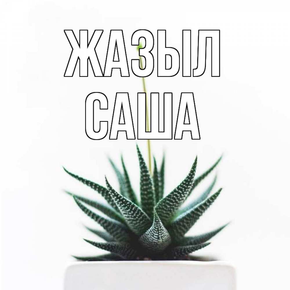 Күн сайын ашық хат с именем, Саша Жазыл короче это непонятная колючка Онлайн тегін жүктеп алу тілектері бар керемет карта 