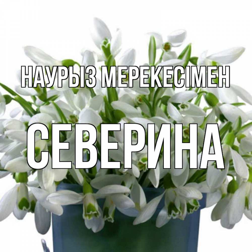 Күн сайын ашық хат с именем, Северина Наурыз мерекесімен цветы к наурызу новый год в Казахстане Онлайн тегін жүктеп алу тілектері бар керемет карта 