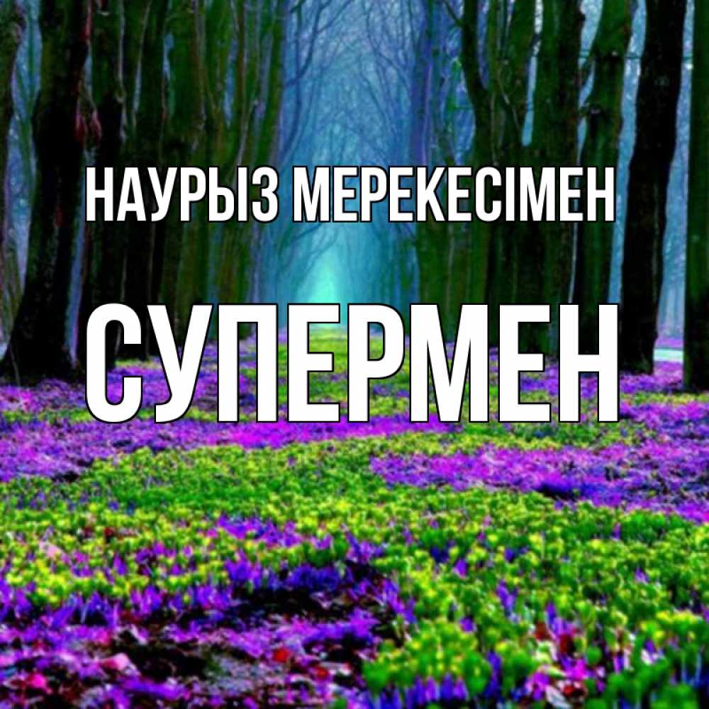 Күн сайын ашық хат с именем, Супермен Наурыз мерекесімен фиолетовые цветы в лесу 1 Онлайн тегін жүктеп алу тілектері бар керемет карта 